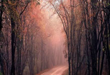 巅峰国际官网：记者：曼城就雨果-拉尔森开启谈判，法鹰要价6千万&枪军刺有意.