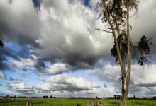 巅峰国际官网：4连胜！辽宁90比78天津，4人得分上双，18岁内线张翀赫22分7板.