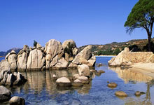 巅峰国际官网：[德甲]第21轮：斯图加特VS美因茨.